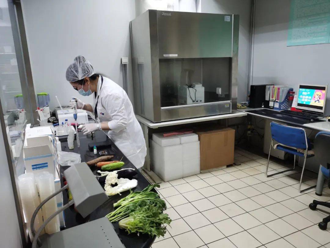 昌江食品检测实验室装修方案
